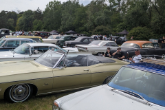 PXL_20240504_121115236.MP2_