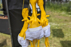 PXL_20240504_1431435662