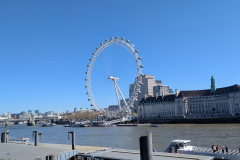 PXL_20260407_101455286