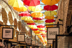 PXL_20260408_134248065.MP_