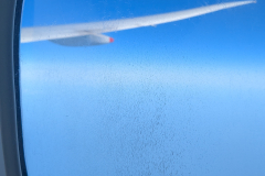 PXL_20250408_080743255