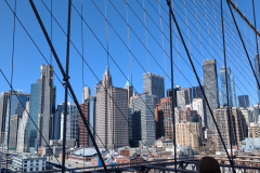 PXL_20250409_144952503