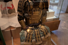 PXL_20250412_192529767