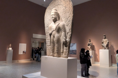 PXL_20250412_204503600