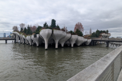 PXL_20250413_155510038