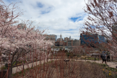 PXL_20250413_160919377