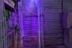 PXL_20250413_172902403.MP_