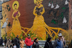 PXL_20250413_184124141.MP2_