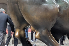 PXL_20250414_135920780