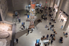 PXL_20250414_162229799