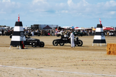 oznorTO_vivi